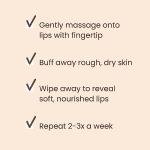 Burt's Bees Honey Lip Scrub for Dry Lips