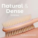 MainBasics Lavender Back Scrubber with Long Handle