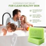 Tea Tree Soap for Fungal and Bacterial Issues