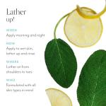 Bliss Soapy Suds Lemon Sage Body Wash 17 Fl Oz