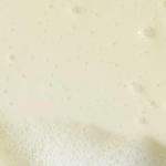 Bliss Soapy Suds Lemon Sage Body Wash 17 Fl Oz