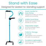 Vive Stand Assist Cane with Extra Handle