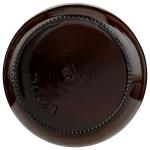 Aloe Vera Juice for Gut Health and Wellness