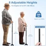 Lightweight Stabilizing Cane for Seniors with Travel Bag