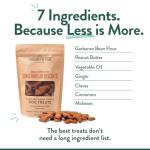 Gingerbread Grain-Free Dog Treats - 5 oz