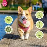 Ruji Naturals Superfood Dog Supplement Chews - 90 Count