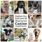 Wholistic Pet Canine Complete Multivitamin for Dogs