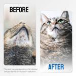 Pet Wound Care Gel with Silver & Aloe 2 Oz