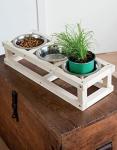 Fun DIY Projects for Cats and Dogs