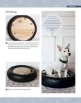 Fun DIY Projects for Cats and Dogs