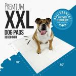 Extra Large Puppy Pee Pads with Adhesive (30-Pack)