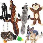 Jalousie 5-Pack Squeaky Plush Dog Toys