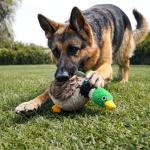 Jalousie 5-Pack Squeaky Plush Dog Toys