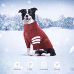 Cozy Red Turtleneck Sweater for Dogs