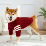 Cozy Red Turtleneck Sweater for Dogs