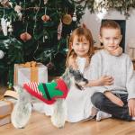 Kooltail Christmas Dog Sweater - Santa Fleece Pullover