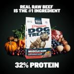 High Protein Beef Dog Treats for All Breeds