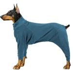 Turquoise Cozy Winter Dog Coat for All Sizes