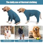 Turquoise Cozy Winter Dog Coat for All Sizes