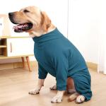 Turquoise Cozy Winter Dog Coat for All Sizes