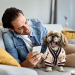 Cute Bear Sweater for Small Dogs & Cats