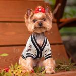 Cute Bear Sweater for Small Dogs & Cats