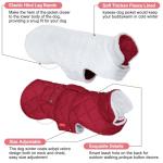Warm Waterproof Dog Coat with Fleece Lining