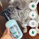 Furrest Fresh Dog Deodorizing Spray – 8 Fl Oz