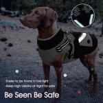 XL Waterproof Dog Coat - Black Zip Up Jacket