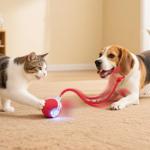 SilveWillo Interactive Electric Automatic Rolling Moving USB Rechargeable Self Activated Play Stimulation Toy Smart Chase Teaser Ball with Speedy Tail Rope for Bored Adult Indoor Cats and Dogs, Red