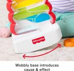 Fisher-Price Baby & Toddler Toy Drop Through Rock-a-Stack, Coin Drop Activity for Developmental Play Infants Ages 9+ Months