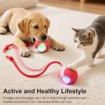 SilveWillo Interactive Electric Automatic Rolling Moving USB Rechargeable Self Activated Play Stimulation Toy Smart Chase Teaser Ball with Speedy Tail Rope for Bored Adult Indoor Cats and Dogs, Blue