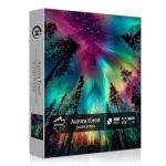 Impossible Puzzles for Adults 1000 Pieces, PICKFORU Forest Aurora Jigsaw Puzzle, Nature Scenery Colorful Puzzles Plant Scenic Challenge