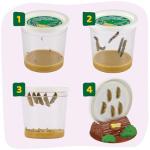Giant Butterfly Garden Kit with Habitat & Voucher