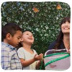 Giant Butterfly Garden Kit with Habitat & Voucher