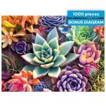 Buffalo Games - James Mertke - Simple Succulent - 1000 Piece Jigsaw Puzzle For Adults -Challenging Puzzle Perfect for Game Nights - Finished Size is 26.75 x 19.75