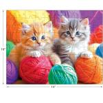 RoseArt - Kodak Premium - Fuzzy Yarn Balls - 100 Piece Jigsaw Puzzle for Adults