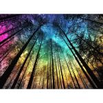 300 Pieces Puzzles for Adults | Aurora Forest Jigsaw Puzzles | Large 300 Piece Puzzle for Children Adults Seniors | Sturdy,Safe | Engaging & Educational Toys Great Gift for Boys Girls 20.5 x 15 in