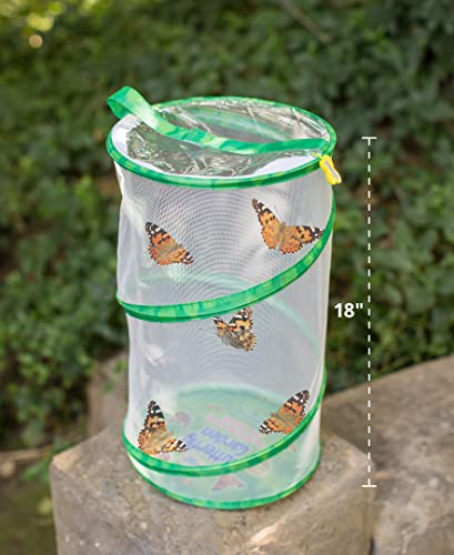 Giant Butterfly Garden Kit with Habitat & Voucher