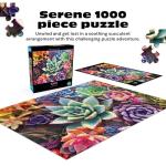 Buffalo Games - James Mertke - Simple Succulent - 1000 Piece Jigsaw Puzzle For Adults -Challenging Puzzle Perfect for Game Nights - Finished Size is 26.75 x 19.75