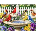 500 Pieces Puzzle for Adults,Birds Bath Flower Fence Puzzle,Recycled Cardboard Animals Jigsaw Puzzle 500 Pieces,Challenging Game Home Decor Birthday Party Gift Toy for Adults Kids Seniors 20.5 * 15 in