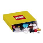 Lego Recreate Activity Cards – Nature | Creative Building Game with 30+ Activity Cards & 25 Lego Elements | Ages 6+