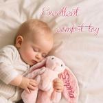 Spricoz Custom Bunny Stuffed Animal with Embroidered Name, Custom Stuffed Animals Bunny Plush Toys, Personalized Christmas Birthday Easter Gifts for Baby Toddler 1/2/3/4 Year Old Girls Boys(Bunny)