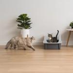 Large Open-Top Cat Litter Box for Big Cats