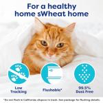 sWheat Scoop Natural Wheat Cat Litter, 25 lb