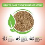 World's Best Unscented Cat Litter for Multiple Cats