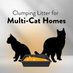 ARM & Hammer Platinum Multi-Cat Clumping Cat Litter