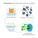 Boxie Probiotic Cat Litter with 40-Day Odor Control