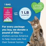 Ultra Micro Crystals Cat Litter - Dust Free, Soft