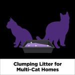 ARM & HAMMER Slide Platinum Multi-Cat Clumping Litter